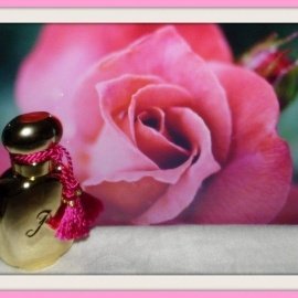 La Rose de Rosine Rose Extrême - Les Parfums de Rosine