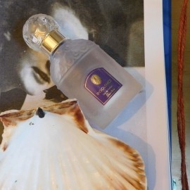 Insolence (Eau de Parfum) by Guerlain