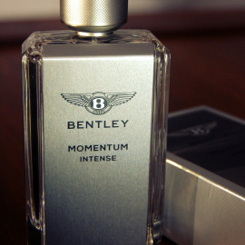 Momentum Intense - Bentley