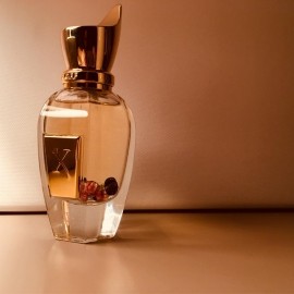 Casamorati - Dama Bianca (Eau de Parfum) by XerJoff