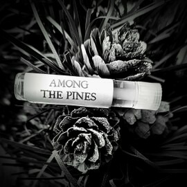 Among the Pines - Alkemia