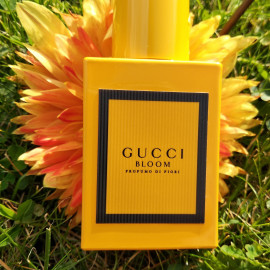 Bloom Profumo di Fiori von Gucci