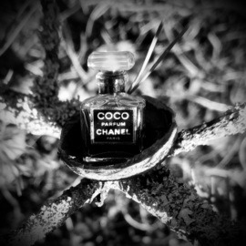 Coco (Parfum) - Chanel