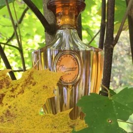 Ottomane - Parfums Pergolèse