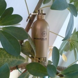 Aoud Queen Roses - Montale