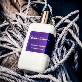 Mimosa Indigo by Atelier Cologne