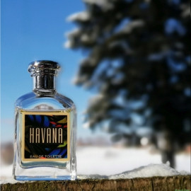 Havana im Winter...