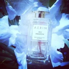 Iris Meadow - Aerin