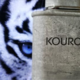 Kouros (Eau de Toilette) von Yves Saint Laurent