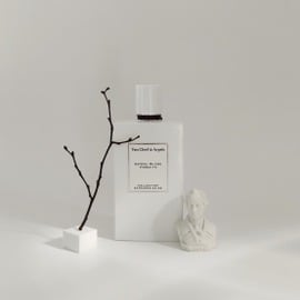 Collection Extraordinaire - Santal Blanc by Van Cleef & Arpels