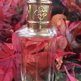 Regard Scintillant de Mille Beautés - Dali Haute Parfumerie