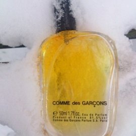 Comme des Garçons (1994) (Eau de Parfum) - Comme des Garçons