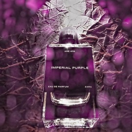Imperial Purple - Zara