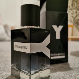 Y (Eau de Parfum) by Yves Saint Laurent
