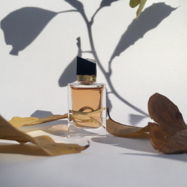Libre (Eau de Parfum Intense) - Yves Saint Laurent