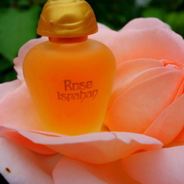 Rose Ispahan (Parfum) by Yves Rocher