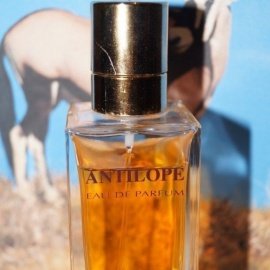 Antilope (Parfum) - Weil