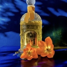 Lily (Parfum) - Roja Parfums