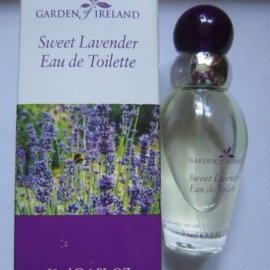 Garden of Ireland - Sweet Lavender - Fragrances of Ireland