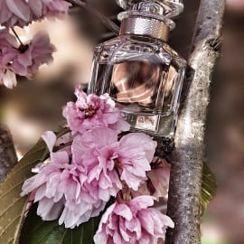 Mon Guerlain (Eau de Parfum Florale) - Guerlain