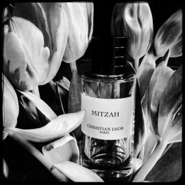 Mitzah - Dior