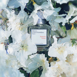 Amyris Homme (Extrait de Parfum) - Maison Francis Kurkdjian