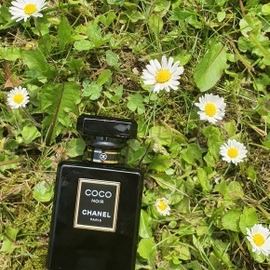 Coco Noir (Eau de Parfum) by Chanel