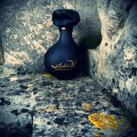 Black Orchid (Eau de Parfum) - Tom Ford