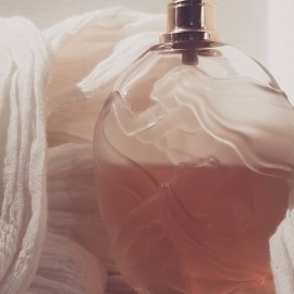 Secrète Datura - Maître Parfumeur et Gantier