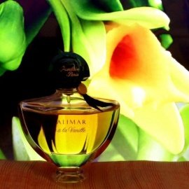 Shalimar Ode a la Vanille - eine Homage an diese wunderschöne Orchidee