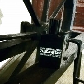 This Is Him! - Zadig & Voltaire