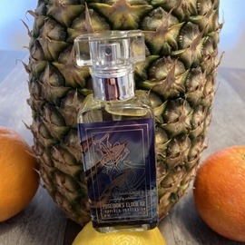 Poseidon's Elixir 11Z von The Dua Brand / Dua Fragrances