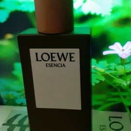 Esencia (Eau de Toilette) - Loewe