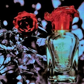 Rose Flamme - Aroma Essence