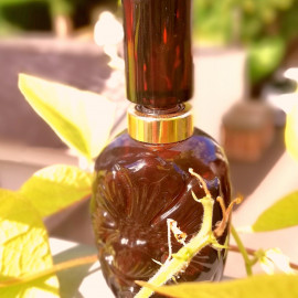 Aromatics Elixir Perfumer's Reserve - Clinique