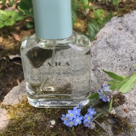 Forget Me Not - Zara