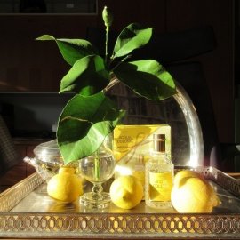 Acqua Colonia Lemon & Ginger (Eau de Cologne) - 4711