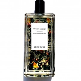Nigritella - Oriental Orchid - The Body Shop