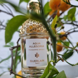 Aqua Allegoria Mandarine Basilic von Guerlain