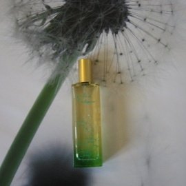 Jardin de Madagascar - ID Parfums