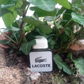 Lacoste Original (1984) / Lacoste (Eau de Toilette) by Lacoste