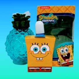 Who lives in a pineapple under the sea?
