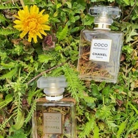 Coco Mademoiselle (Eau de Parfum) by Chanel