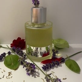 Sweetie Aoud - Roja Parfums
