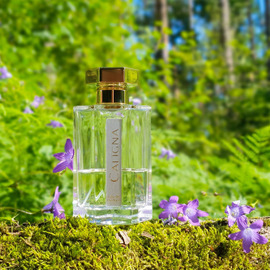 Caligna - L'Artisan Parfumeur