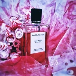 Collection Extraordinaire - Rose Rouge von Van Cleef & Arpels