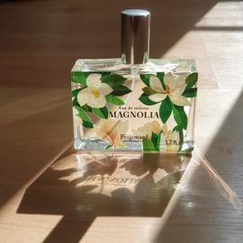 Magnolia (2020) by Fragonard