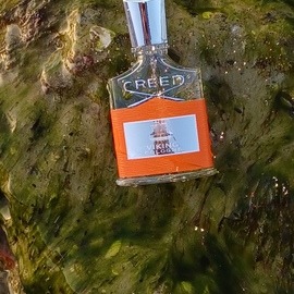 Malachitgrau - Grauton Parfums
