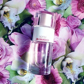 the perfect Name: ♡a soft petal scent♡