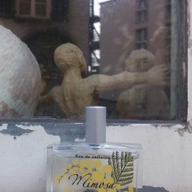 Mimosa (2010) - Fragonard